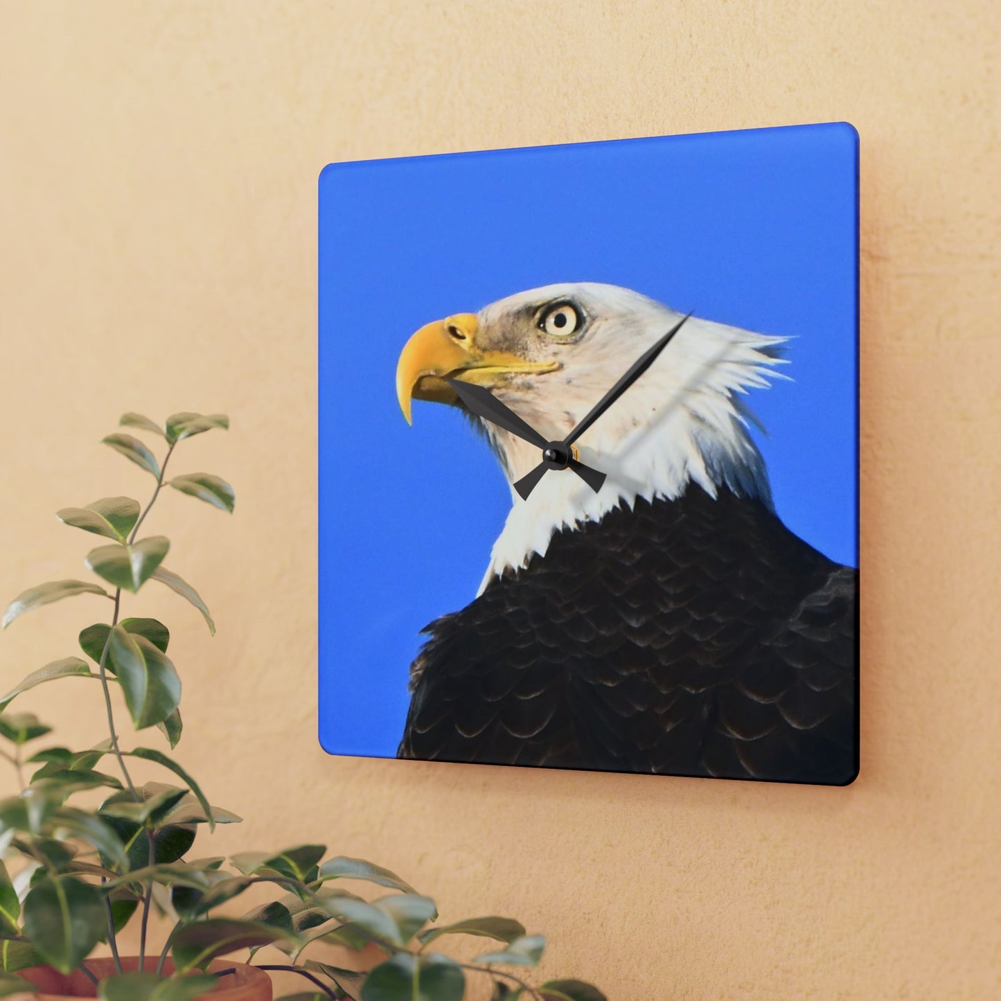 Bald Eagle Acrylic Wall Clock — Patriotic Wildlife Home Decor