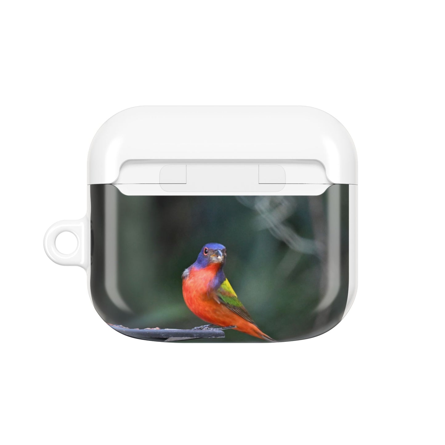 Nature-Inspired AirPod Cases, Colorful Bird Art, Eco-Friendly Charge Cover, Gift for Bird Lovers, Unique Tech Accessories