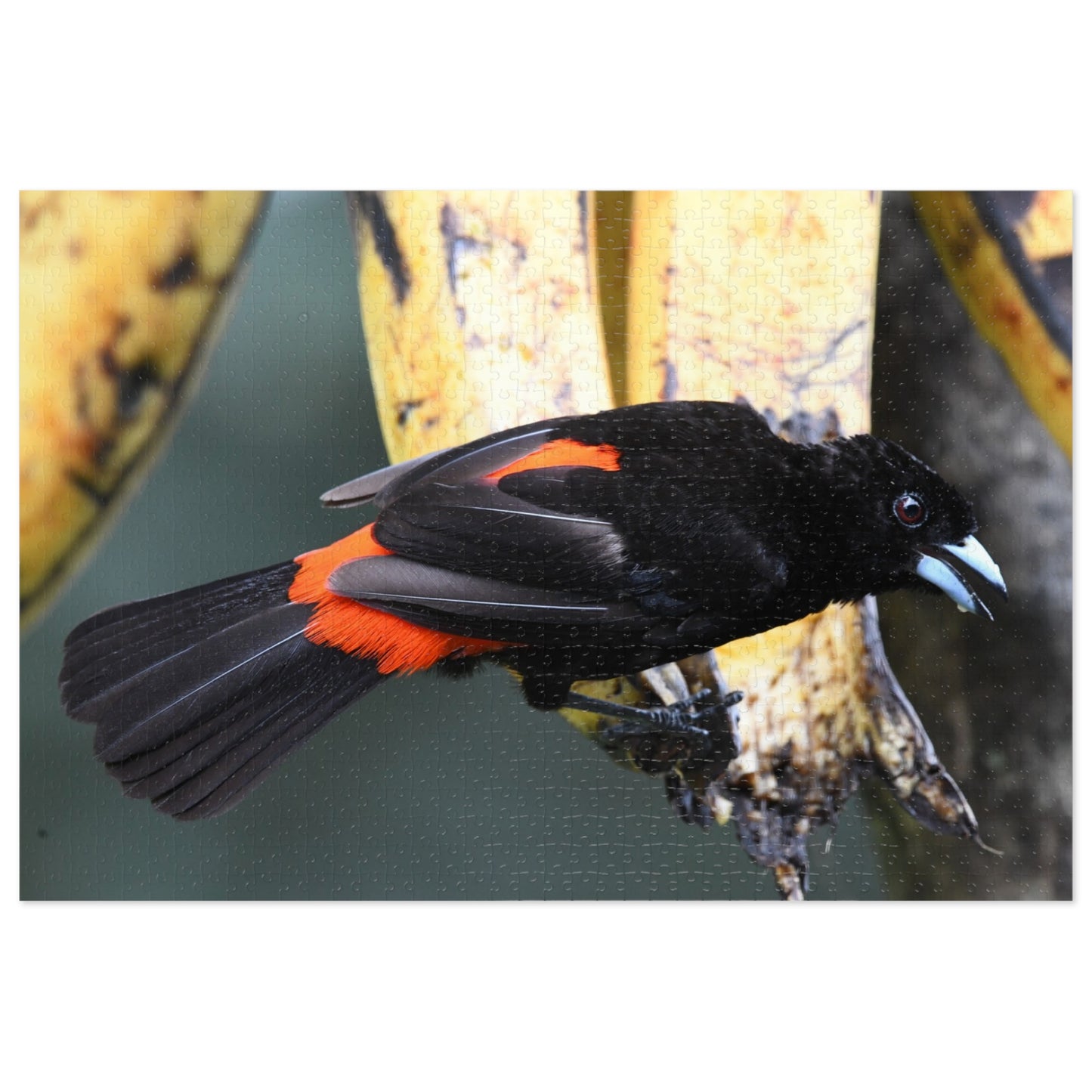 Bird-Themed Jigsaw Puzzle with Tin - Perfect Gift for Nature Lovers, Family Game Night, Eco-Friendly Home Decor, Educational Activity.