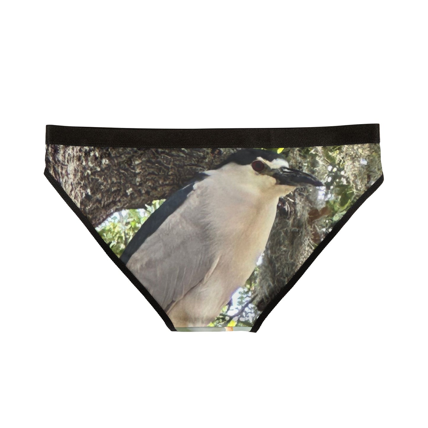 Botanical Bird Print Women's Underwear, Unique Lingerie Gift, AOP Panties, Eco-Friendly Intimates, Nature Lover's Underwear