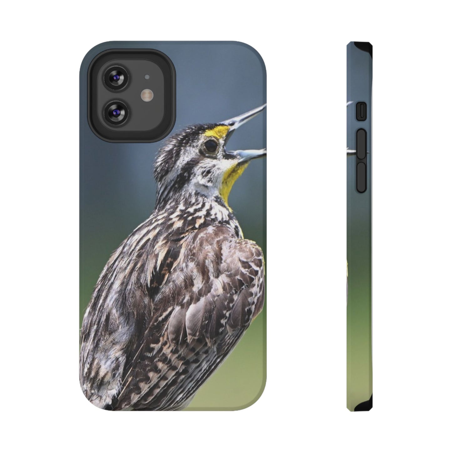 Western Meadowlark Photo Phone Case — Impact-Resistant Protective Cover