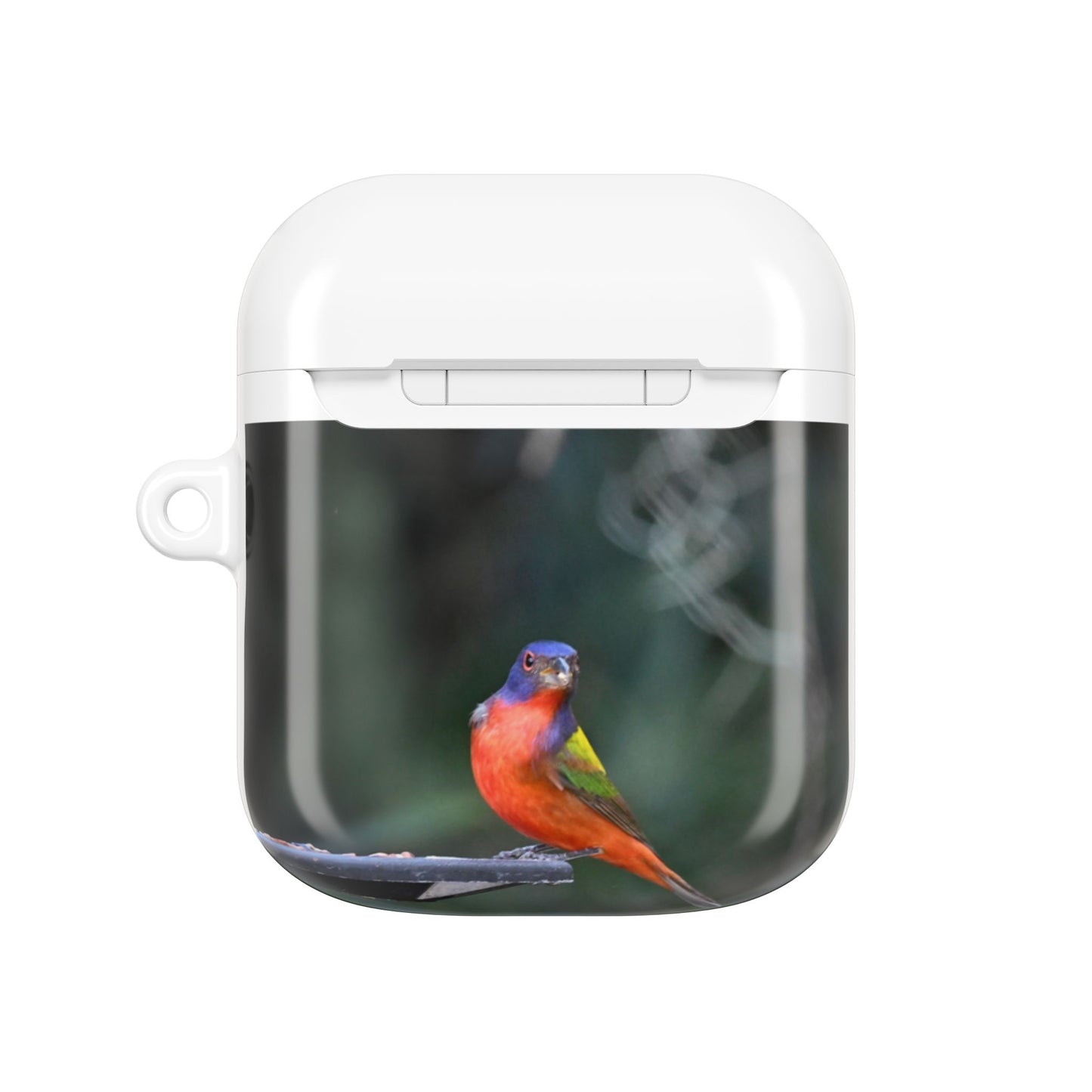 Nature-Inspired AirPod Cases, Colorful Bird Art, Eco-Friendly Charge Cover, Gift for Bird Lovers, Unique Tech Accessories