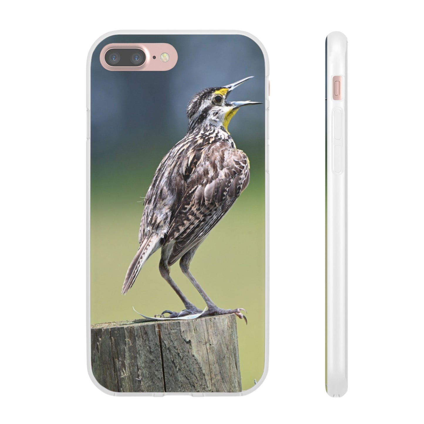Singing Meadowlark Phone Case – Nature Bird Photo Flexi Case