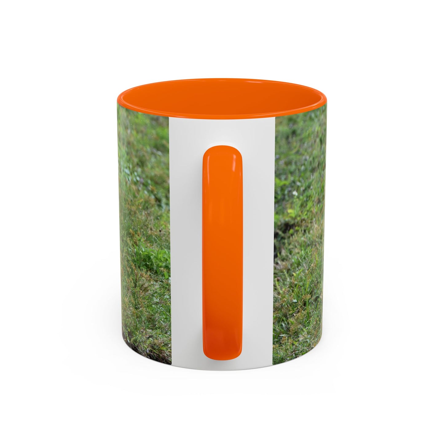 Where's My Coffee? Accent Coffee Mug – Funny Crow Bird Coffee Cup (11/15oz)