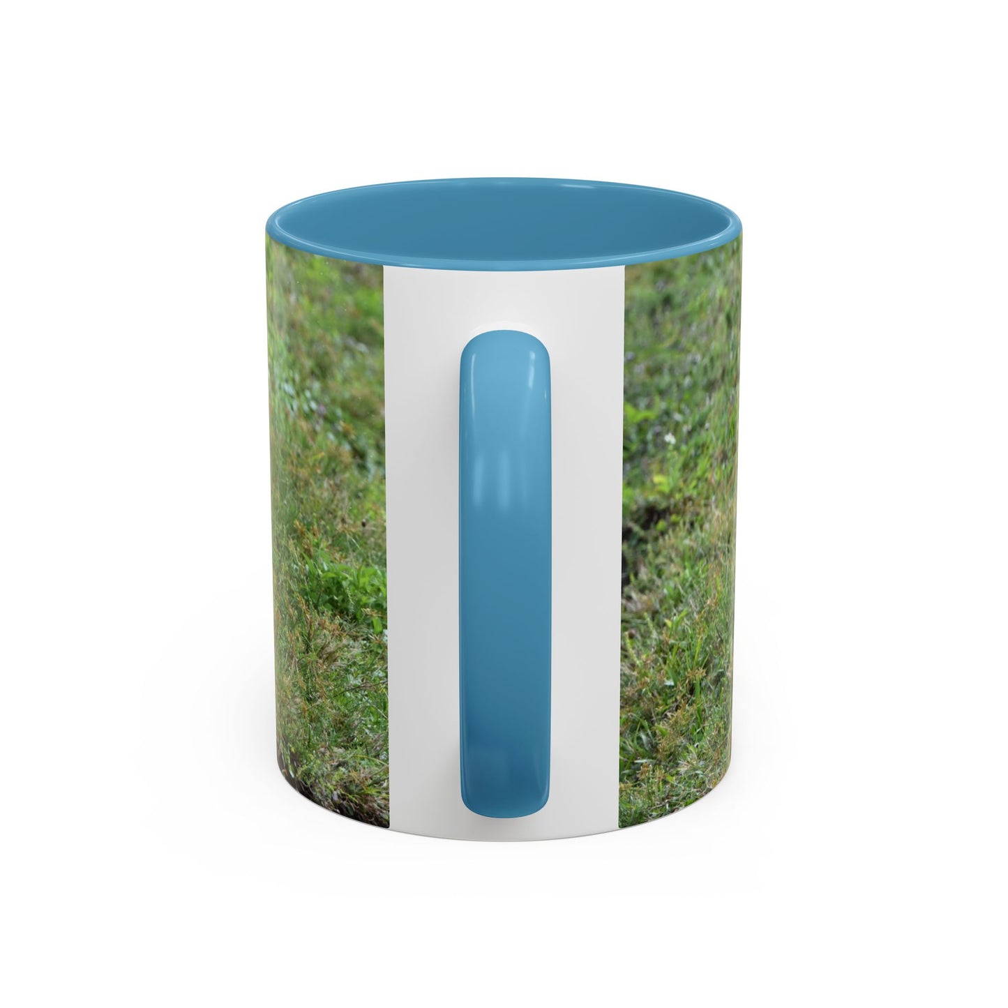 Where's My Coffee? Accent Coffee Mug – Funny Crow Bird Coffee Cup (11/15oz)