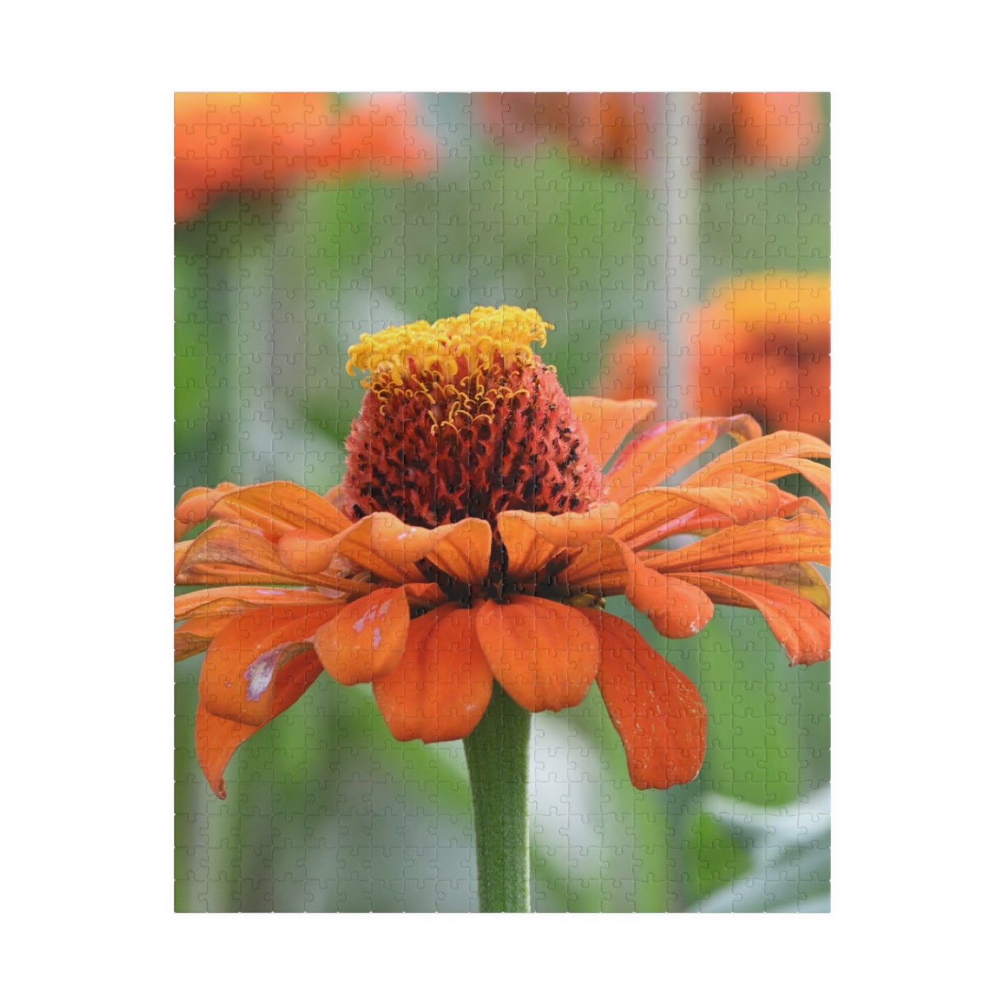Zinnia Bloom Jigsaw Puzzle — 110/252/520/1014-Piece Floral Puzzle for Relaxation & Gifts