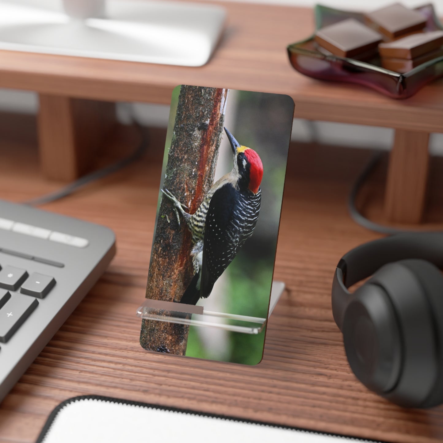 Woodpecker Phone Stand — Clear Acrylic Smartphone Display Stand with Forest Bird Photo