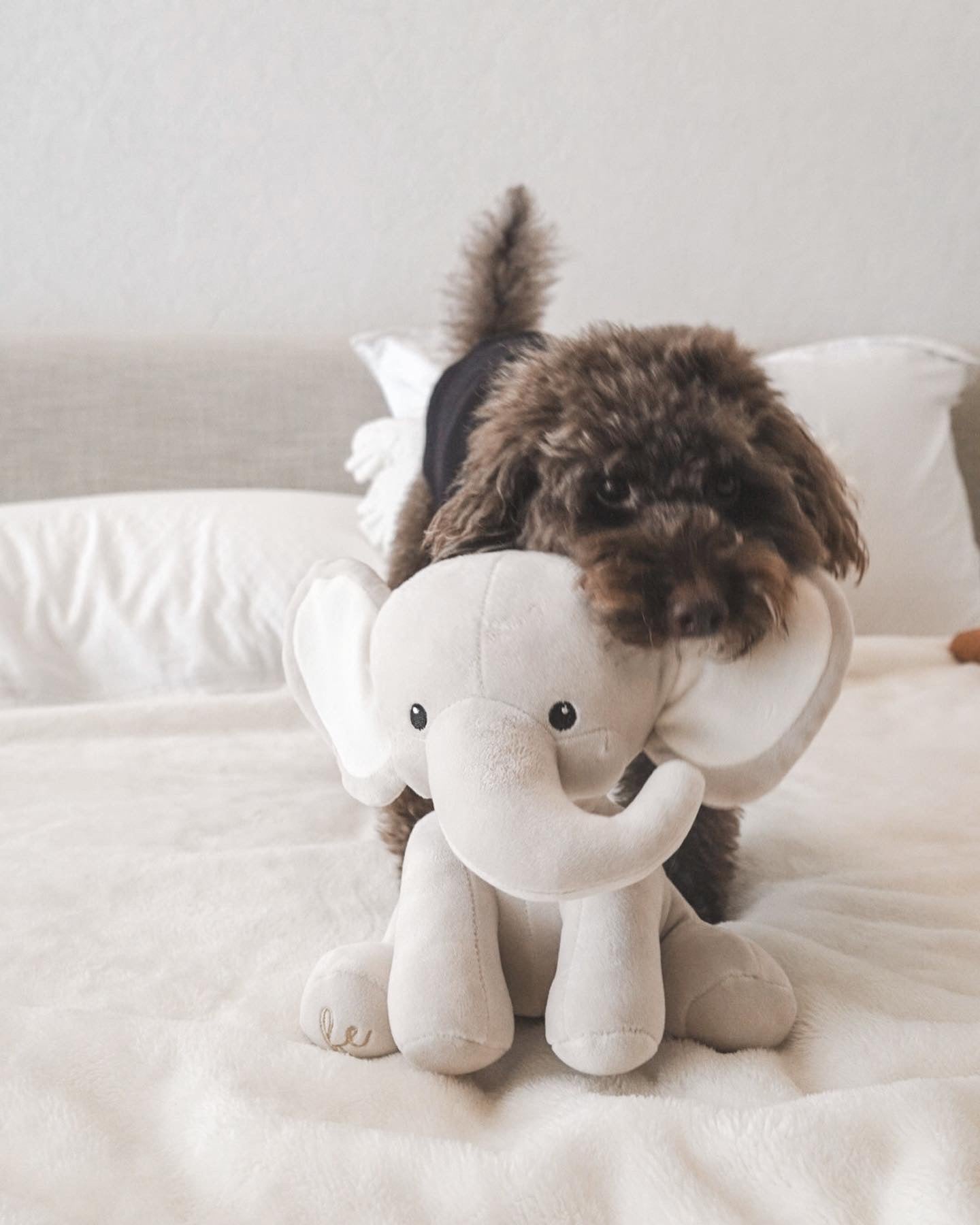 Ella Plushie
