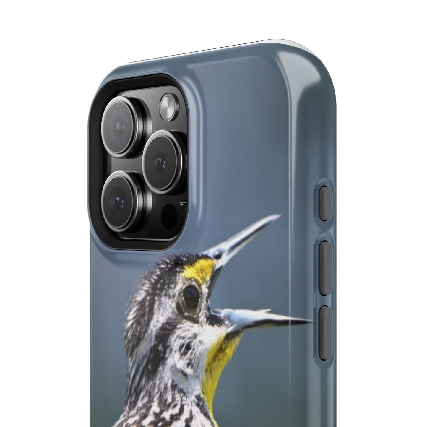 Western Meadowlark Photo Phone Case — Impact-Resistant Protective Cover