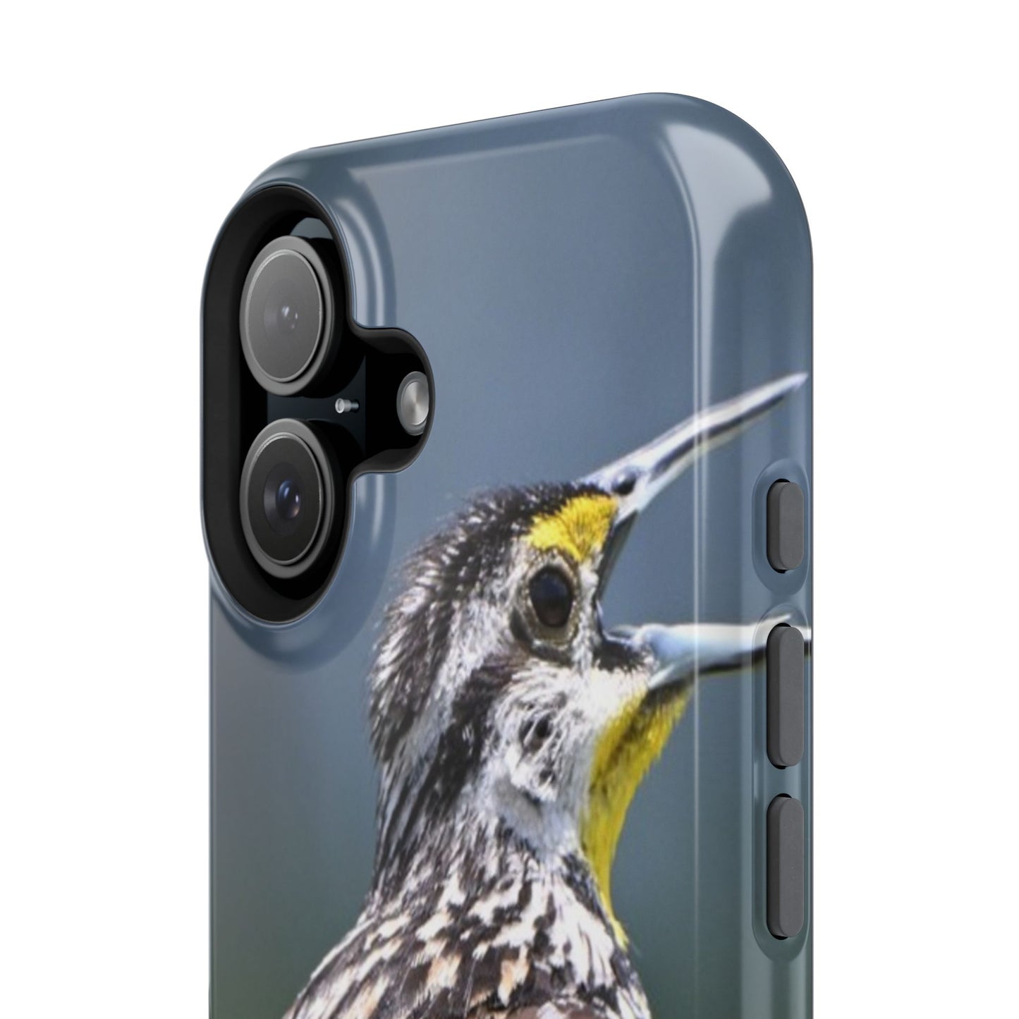 Western Meadowlark Photo Phone Case — Impact-Resistant Protective Cover
