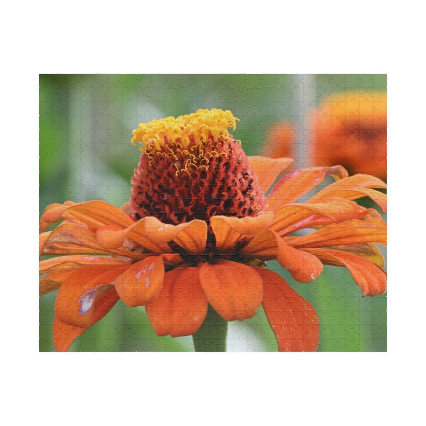 Zinnia Bloom Jigsaw Puzzle — 110/252/520/1014-Piece Floral Puzzle for Relaxation & Gifts