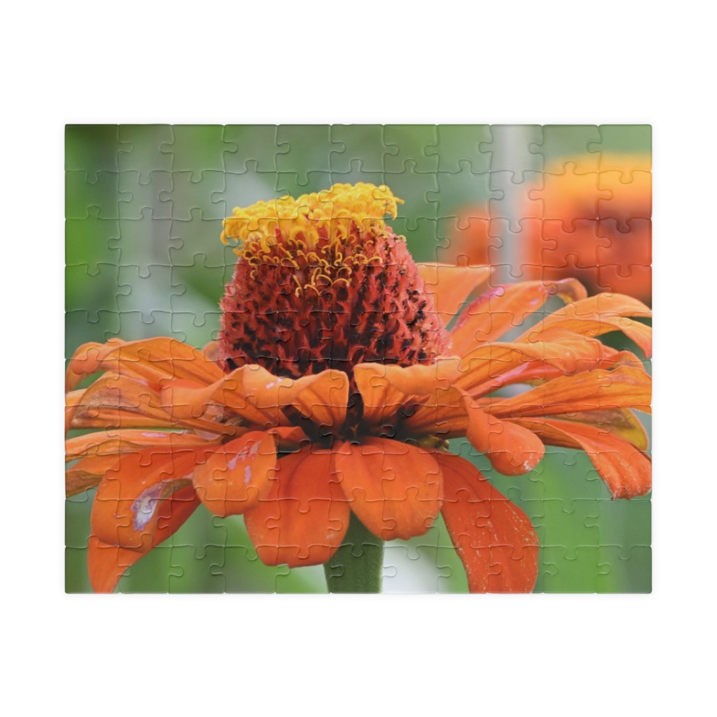Zinnia Bloom Jigsaw Puzzle — 110/252/520/1014-Piece Floral Puzzle for Relaxation & Gifts