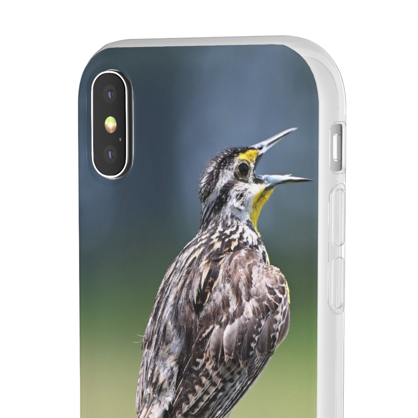 Singing Meadowlark Phone Case – Nature Bird Photo Flexi Case