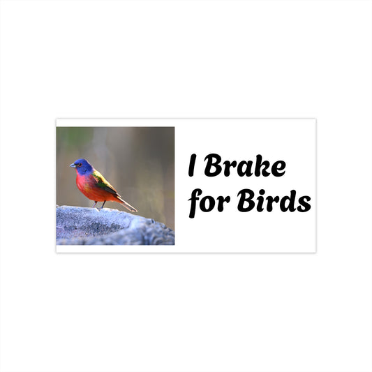 Bird Lover Bumper Stickers, Car Decal, Nature Lover Gift, Wildlife Sticker, Eco-Friendly Car Art, I Brake for Birds