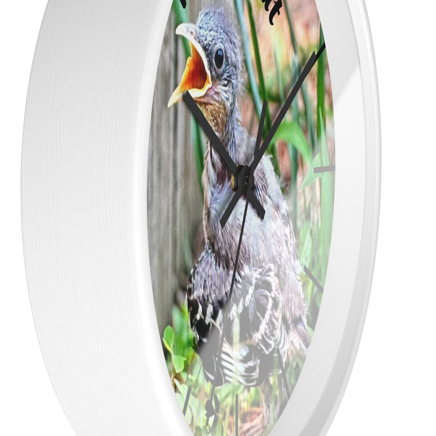 Nature-Inspired Wall Clock, Time to Eat Bird Clock, Home Decor for Bird Lovers, Gift for Nature Enthusiasts, Unique Wall Art