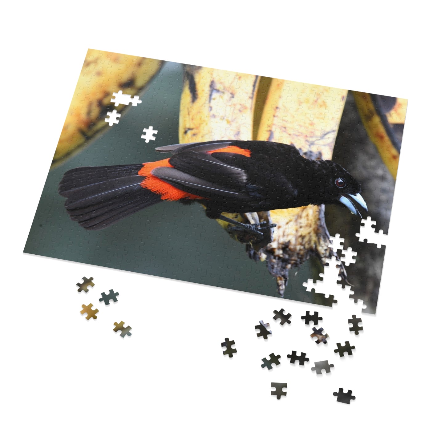 Bird-Themed Jigsaw Puzzle with Tin - Perfect Gift for Nature Lovers, Family Game Night, Eco-Friendly Home Decor, Educational Activity.