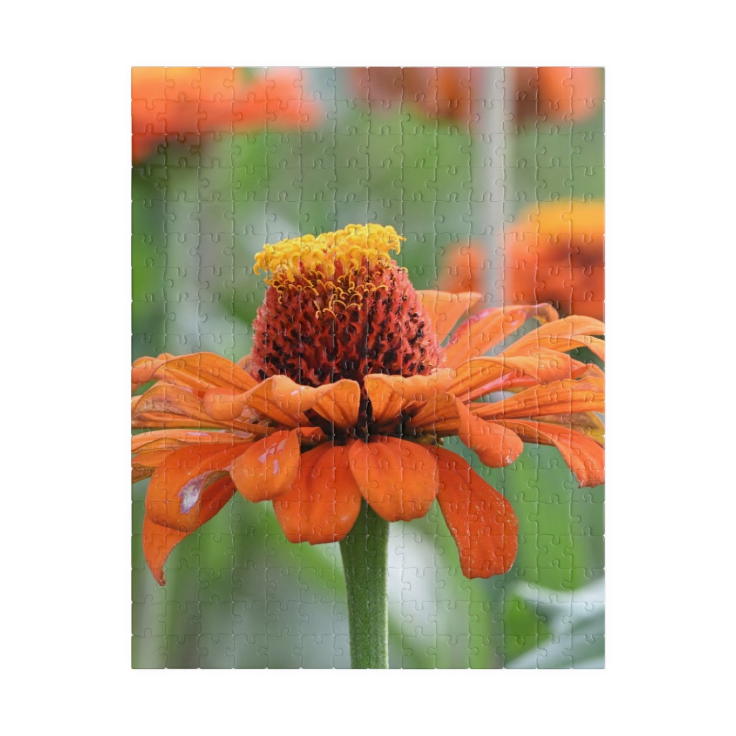 Zinnia Bloom Jigsaw Puzzle — 110/252/520/1014-Piece Floral Puzzle for Relaxation & Gifts