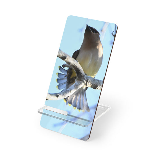 Acrylic Phone Stand with Cedar Waxwing Bird Photo — Decorative Mobile Display Stand