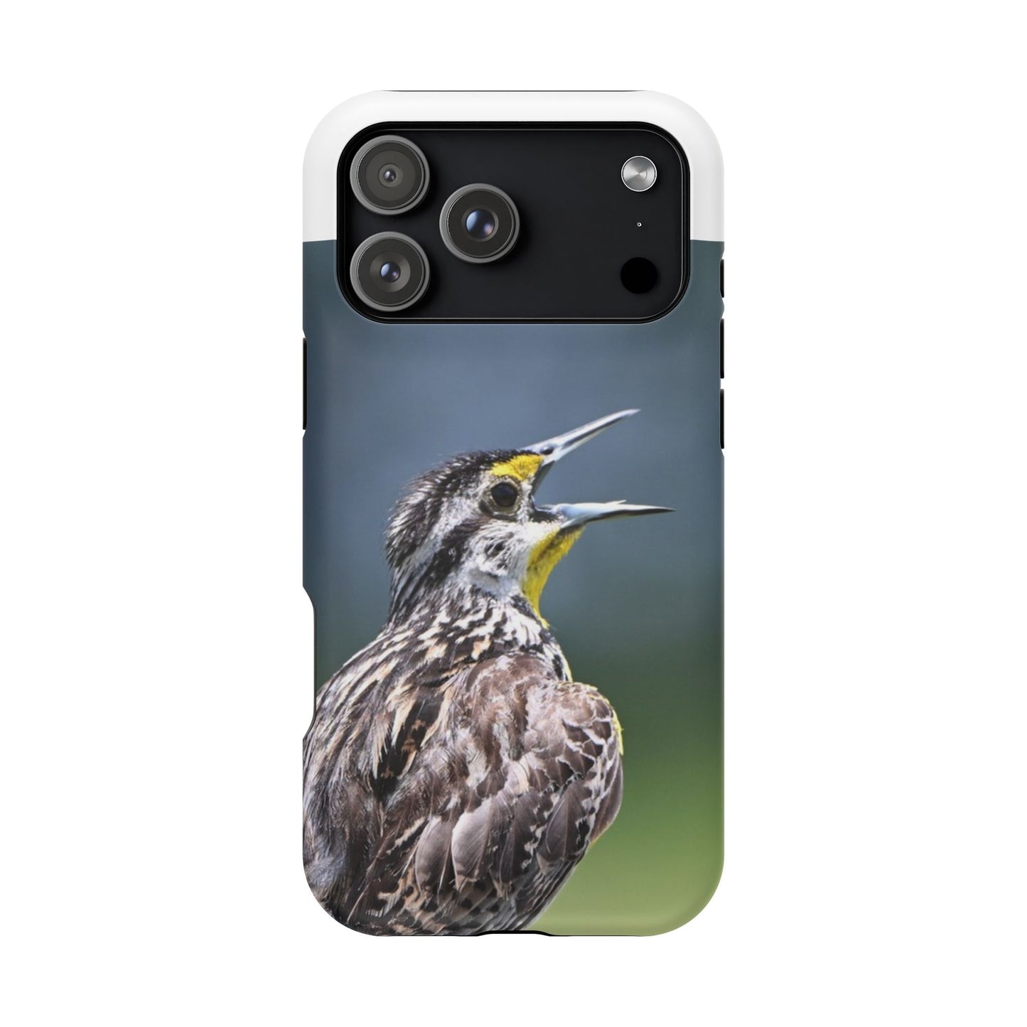 Western Meadowlark Photo Phone Case — Impact-Resistant Protective Cover