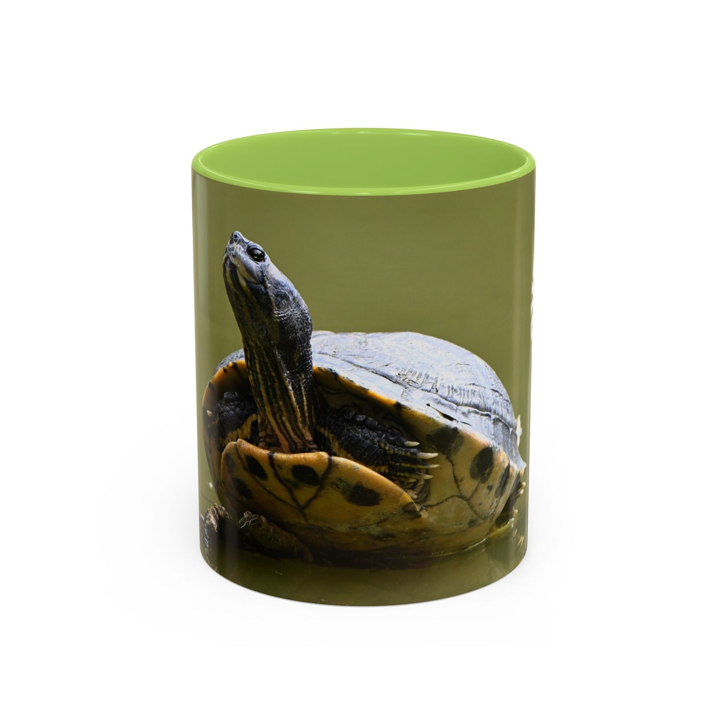 Turtle Coffee Mug — "Always Keep Your Head Up" Inspirational Accent Mug (11/15 oz)
