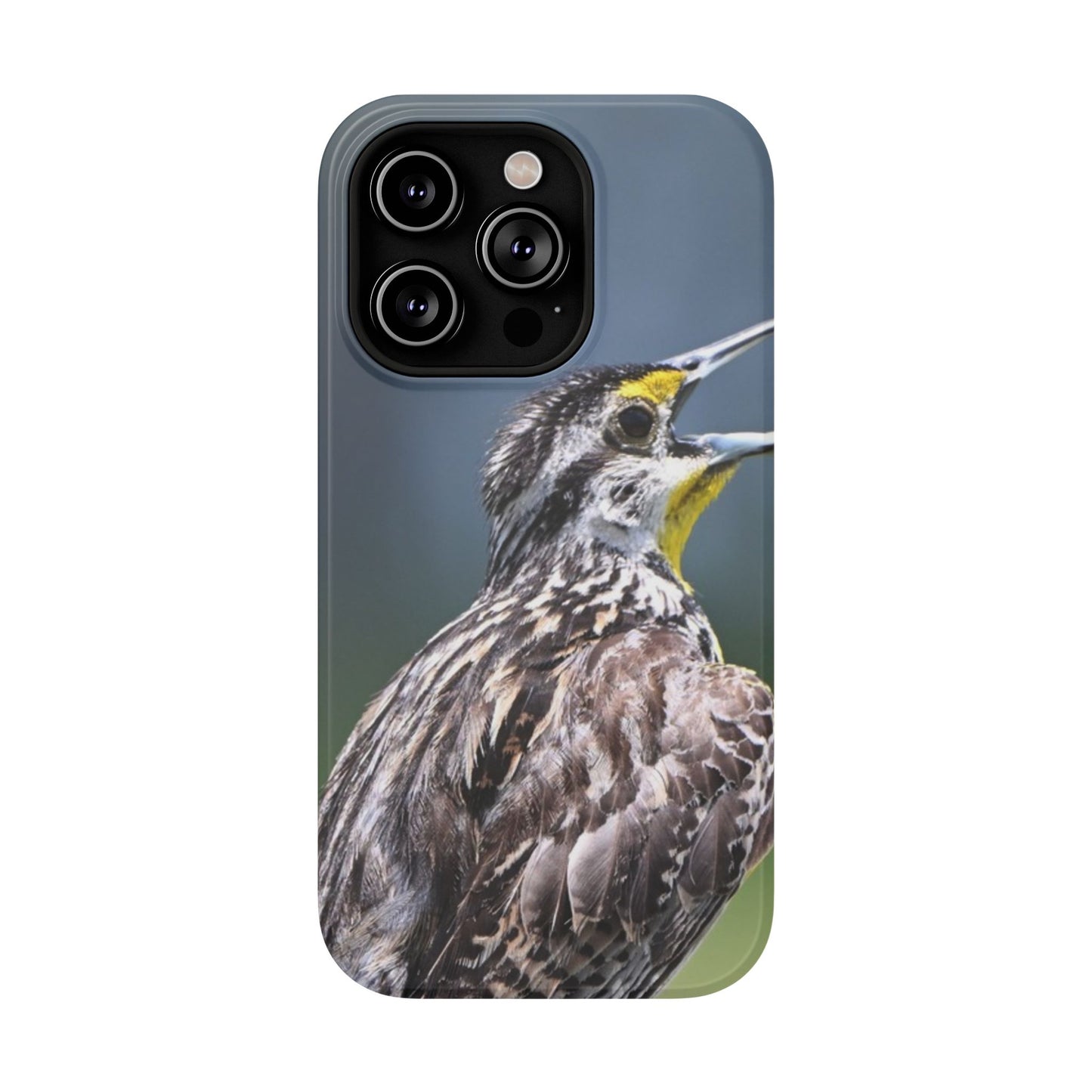 Western Meadowlark Photo Phone Case — Impact-Resistant Protective Cover