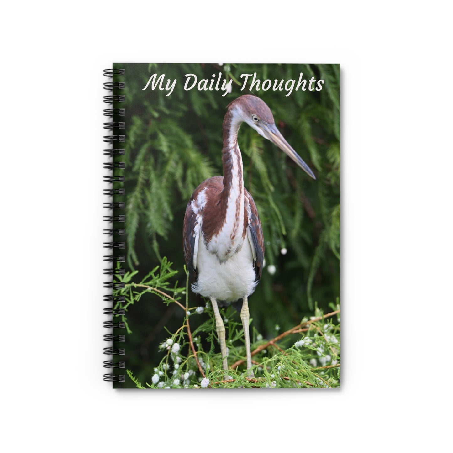 Nature-Inspired Spiral Notebook for Daily Thoughts - Perfect Gift for Bird Lovers, Journaling, Note-Taking, and Inspiration