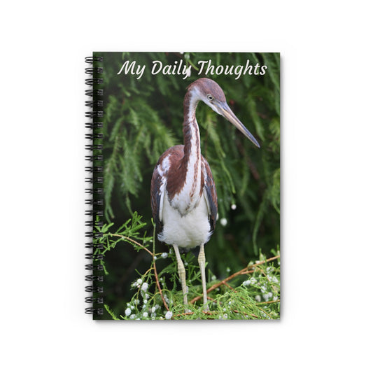 Nature-Inspired Spiral Notebook for Daily Thoughts - Perfect Gift for Bird Lovers, Journaling, Note-Taking, and Inspiration