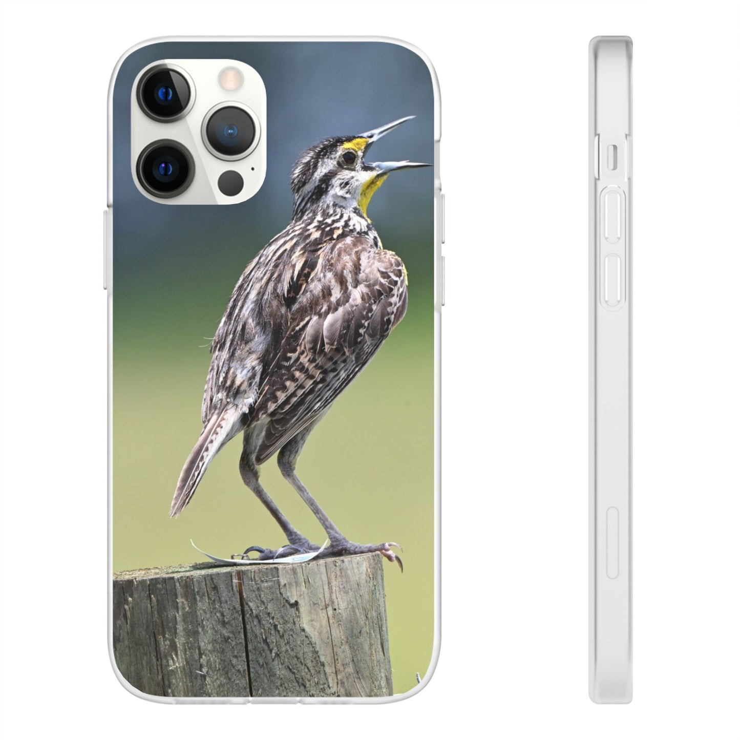 Singing Meadowlark Phone Case – Nature Bird Photo Flexi Case