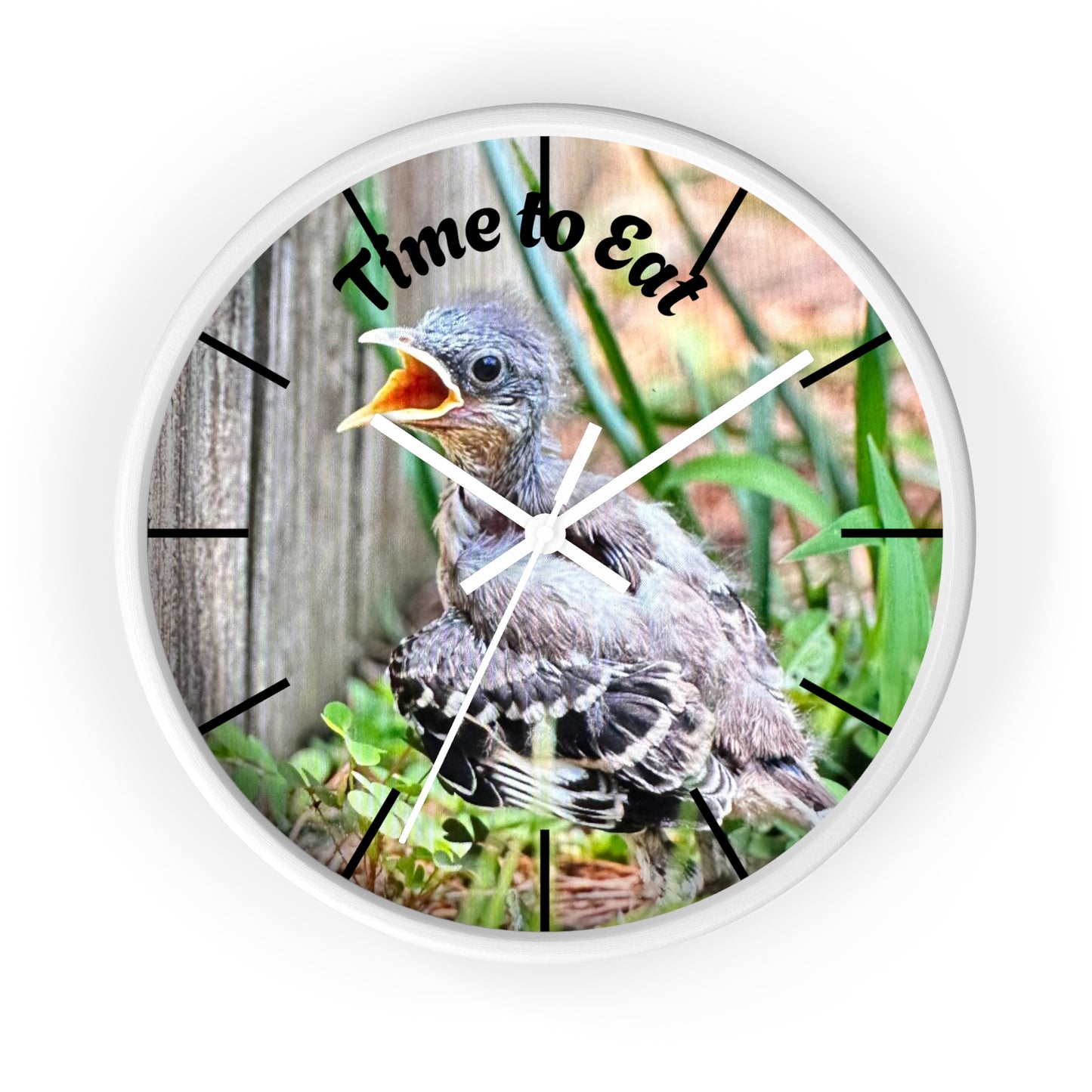 Nature-Inspired Wall Clock, Time to Eat Bird Clock, Home Decor for Bird Lovers, Gift for Nature Enthusiasts, Unique Wall Art