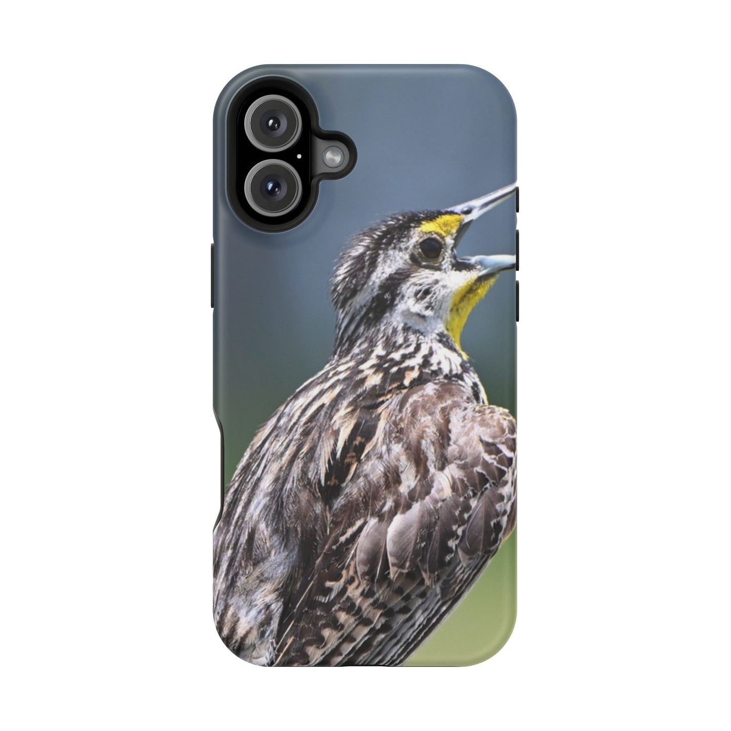 Western Meadowlark Photo Phone Case — Impact-Resistant Protective Cover