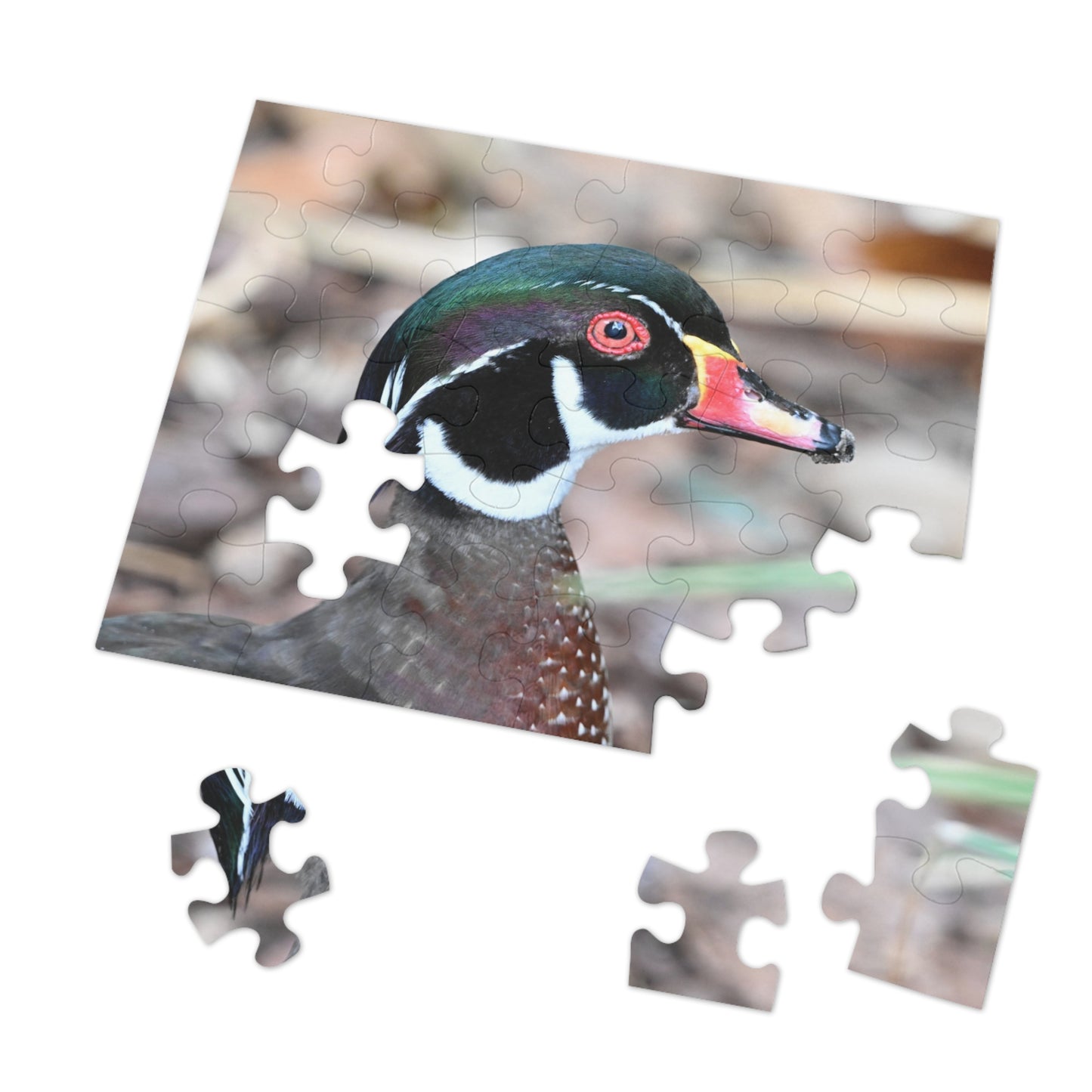 Wood Duck Puzzle, Relaxing Jigsaw Game, Unique Gift for Nature Lovers, Fun Family Activity, Bird Enthusiast Puzzle