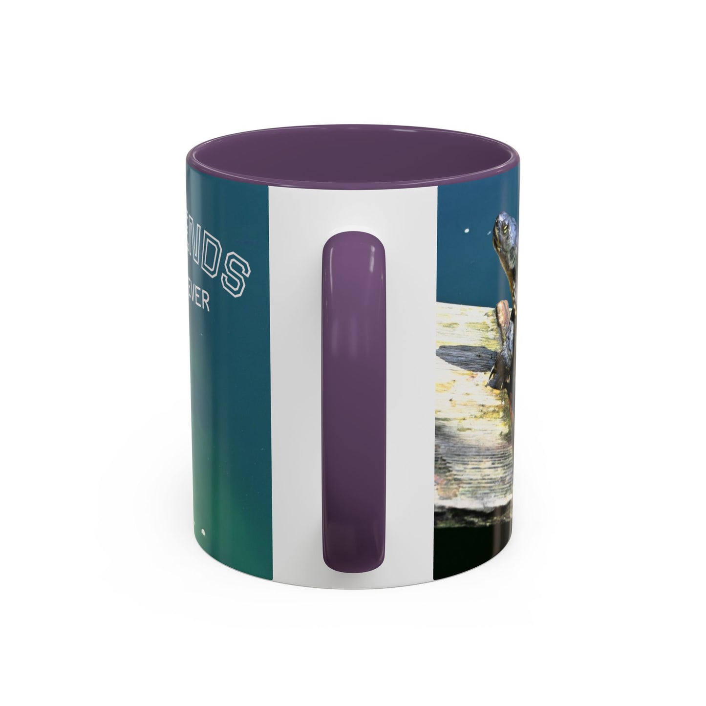 Friends Forever Turtle Accent Coffee Mug — 11/15oz Gift for Animal Lovers