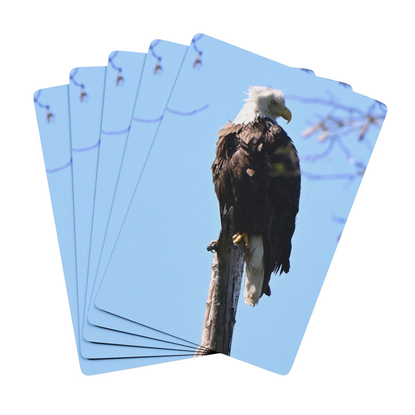 Poker Playing Cards