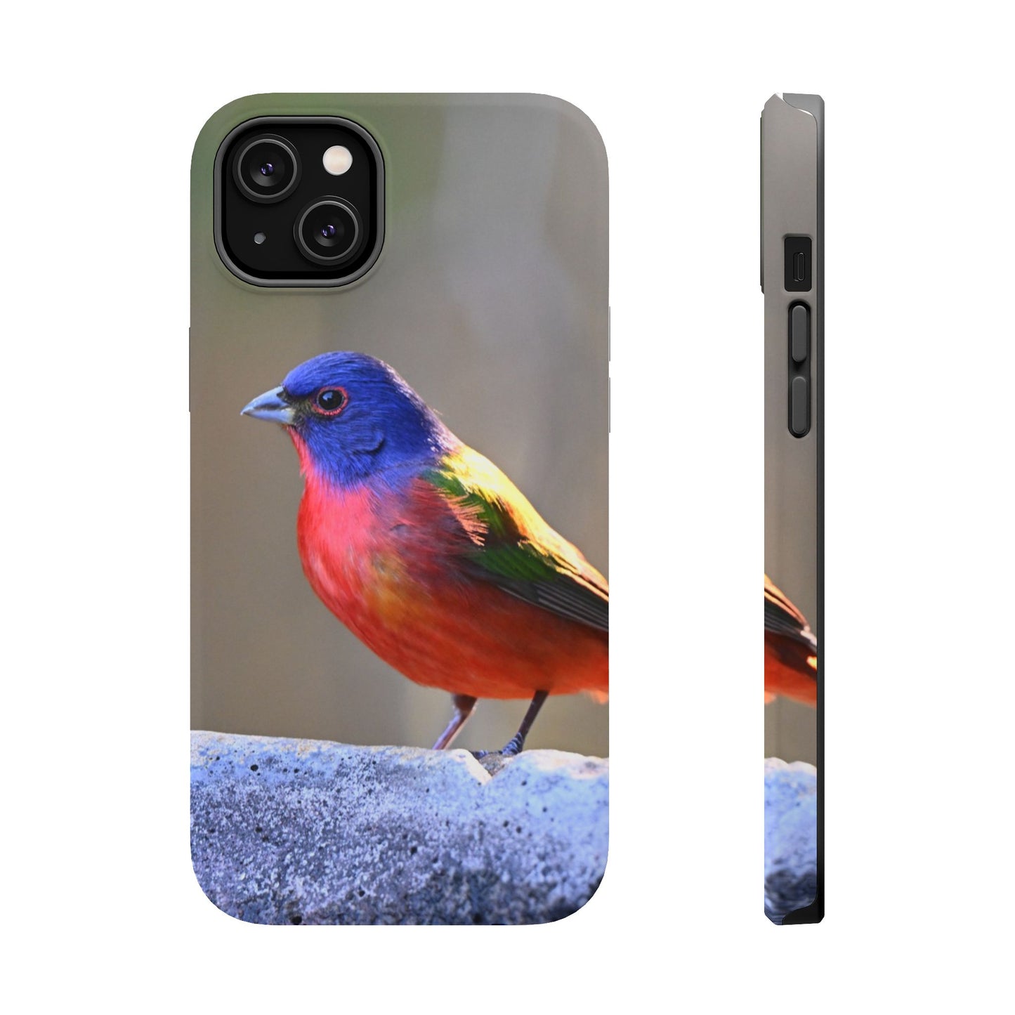 Colorful Bird Phone Case, Magnetic Tough Cases, Nature Lover Gift, Wildlife Phone Cover, Eco-Friendly Tech Accessories
