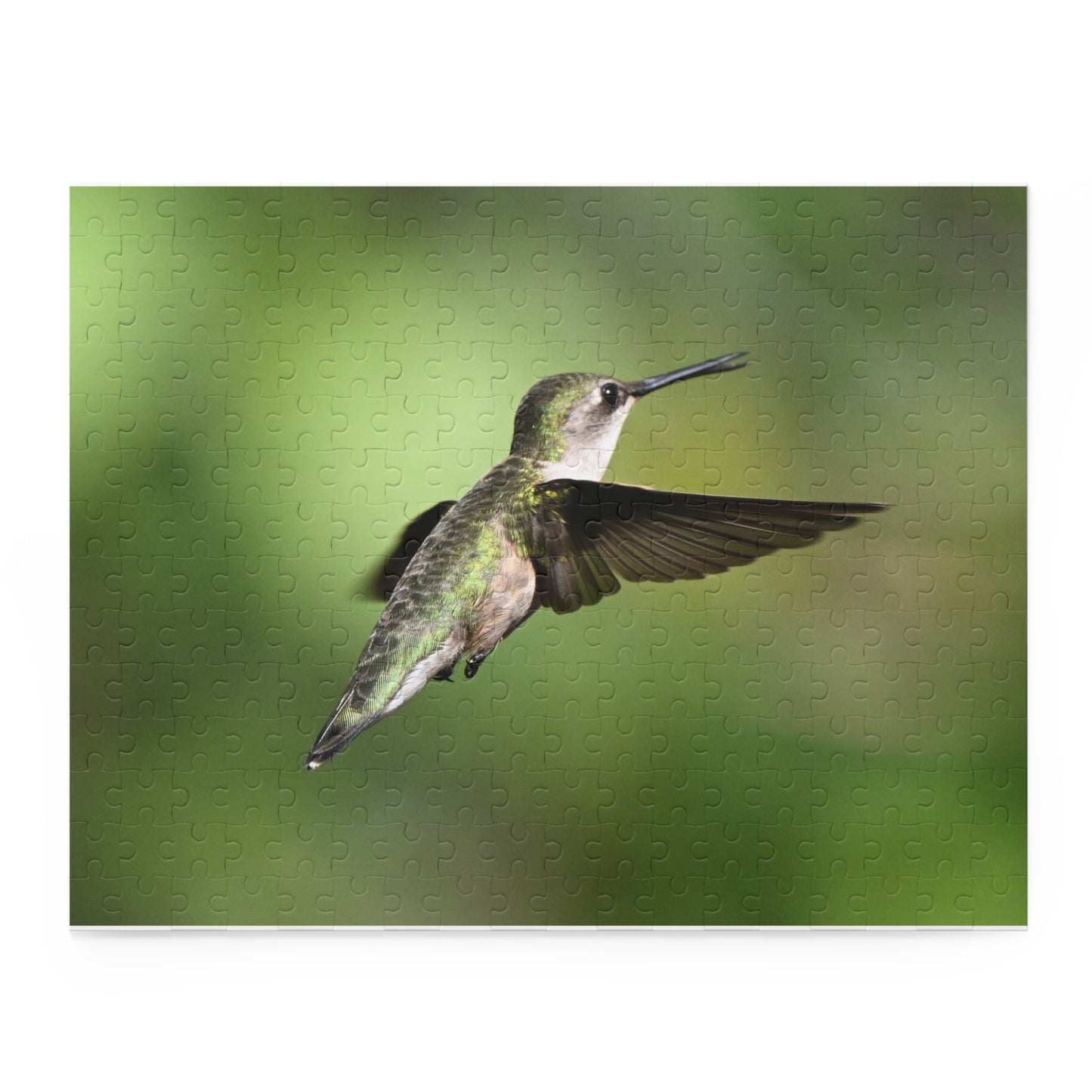 Hummingbird Puzzle - Nature Lover Gift, Bird Watching Decor, Jigsaw Fun for Family, Relaxing Game, Perfect for all Ages