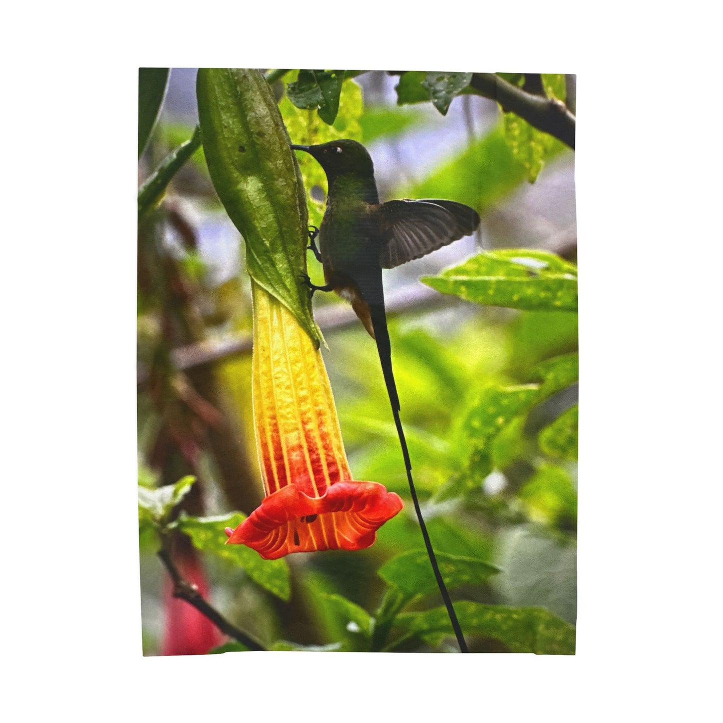 Hummingbird & Trumpet Flower Velveteen Plush Blanket — Soft Nature Throw