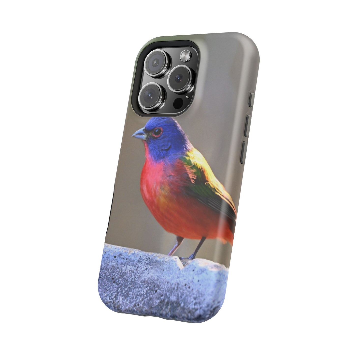 Colorful Bird Phone Case, Magnetic Tough Cases, Nature Lover Gift, Wildlife Phone Cover, Eco-Friendly Tech Accessories