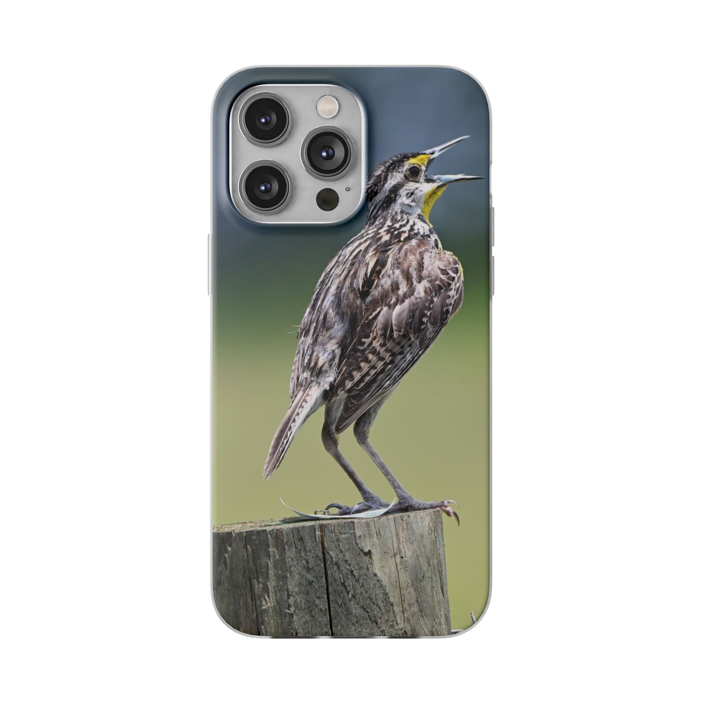 Singing Meadowlark Phone Case – Nature Bird Photo Flexi Case