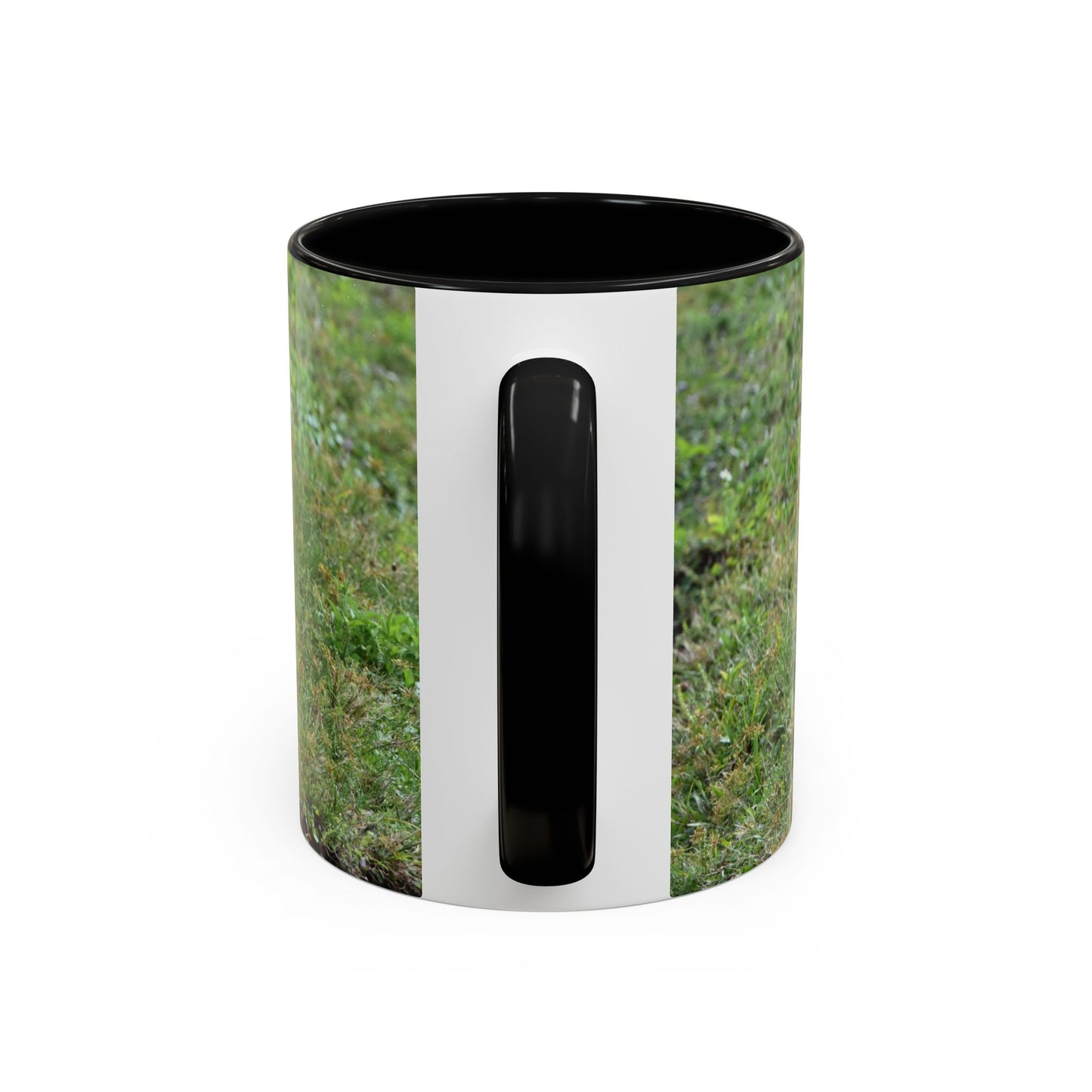 Where's My Coffee? Accent Coffee Mug – Funny Crow Bird Coffee Cup (11/15oz)