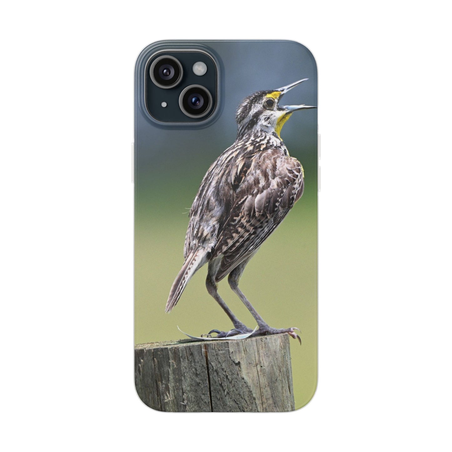 Singing Meadowlark Phone Case – Nature Bird Photo Flexi Case