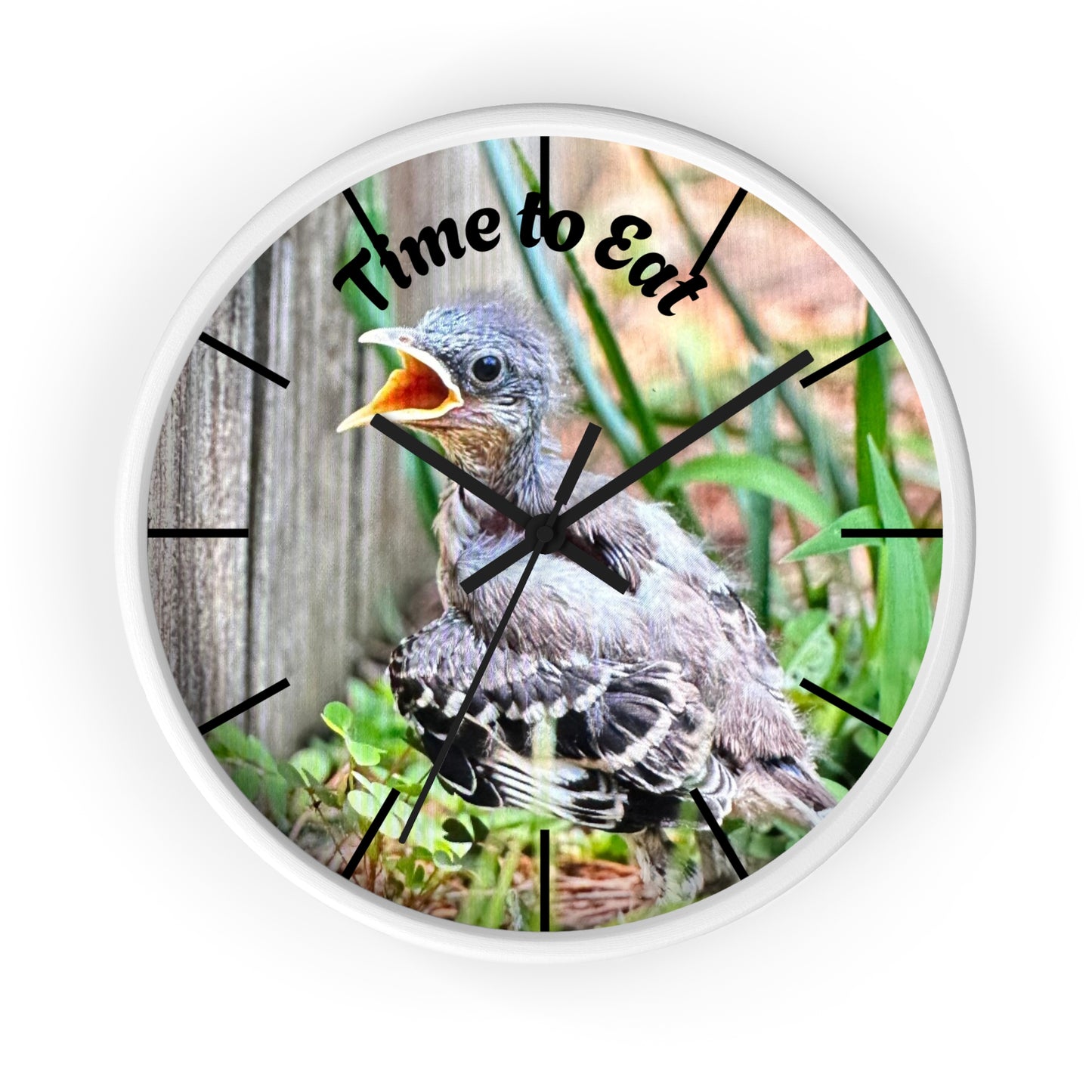 Nature-Inspired Wall Clock, Time to Eat Bird Clock, Home Decor for Bird Lovers, Gift for Nature Enthusiasts, Unique Wall Art