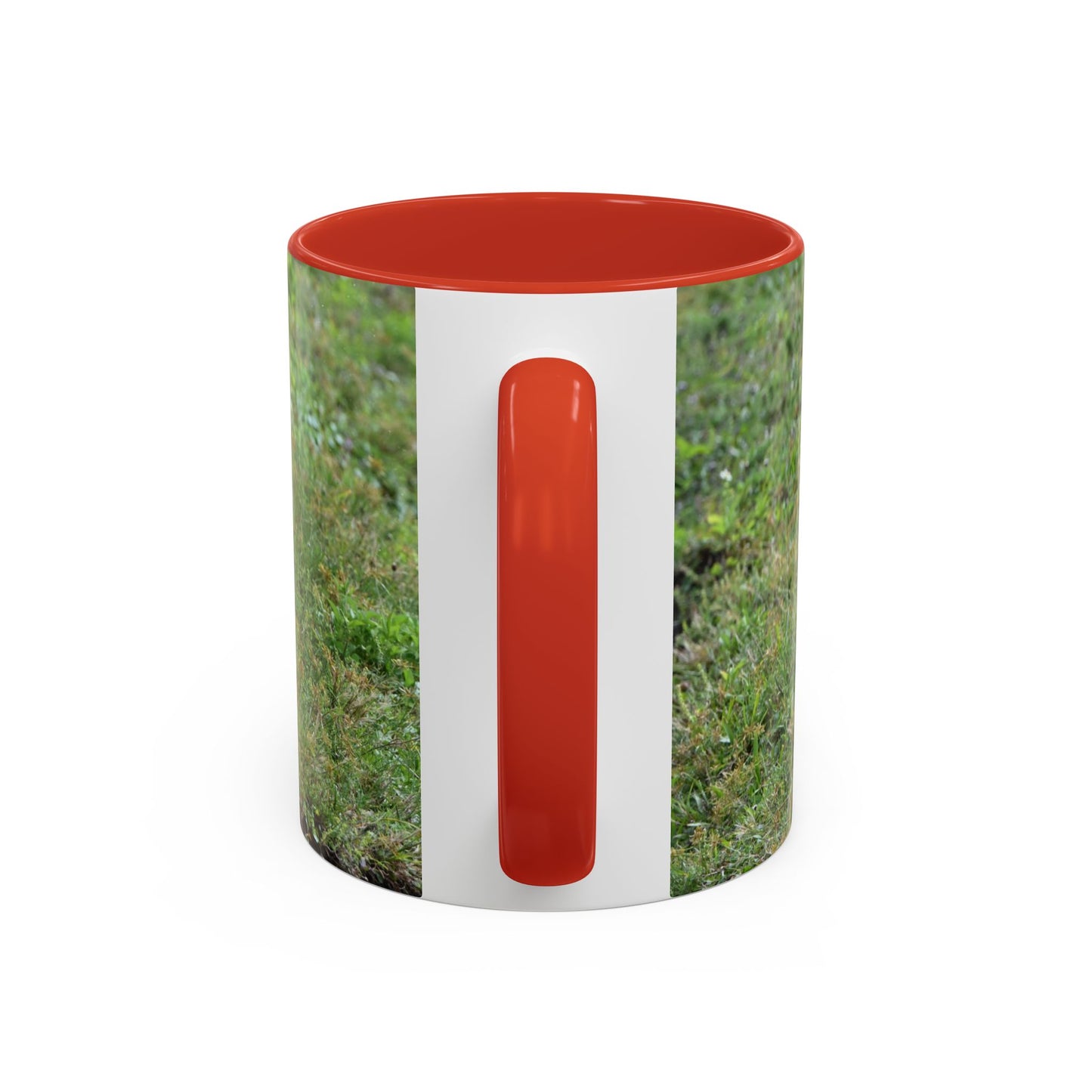 Where's My Coffee? Accent Coffee Mug – Funny Crow Bird Coffee Cup (11/15oz)