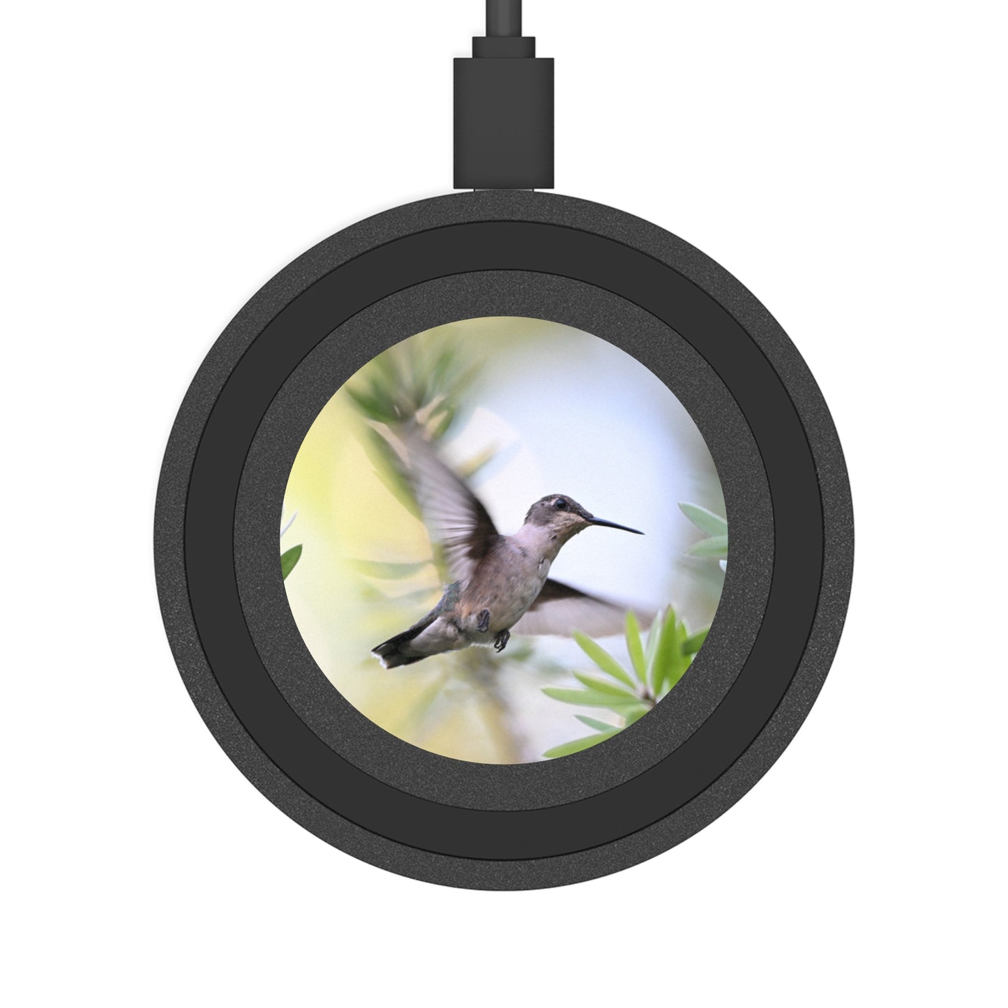 Hummingbird Wireless Charging Pad — Fast Qi Phone Charger with Blue Accent