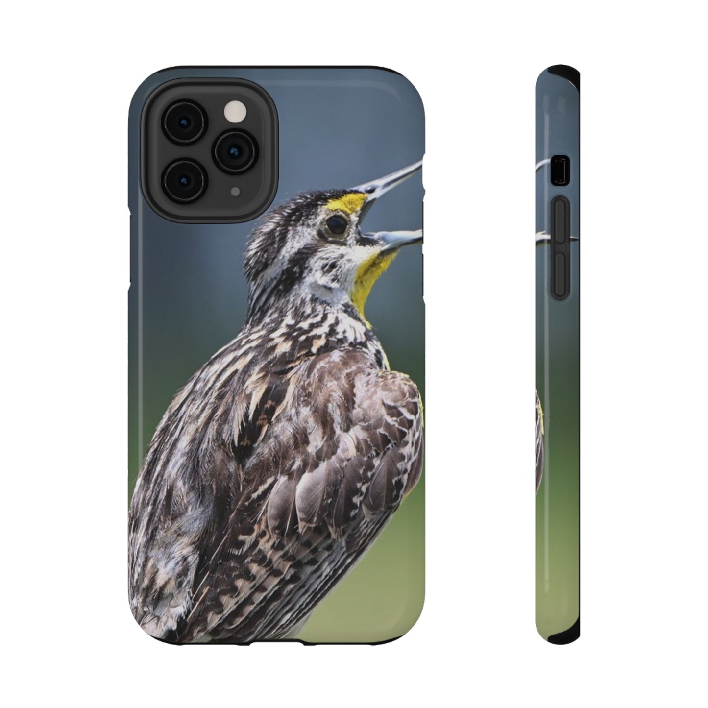 Western Meadowlark Photo Phone Case — Impact-Resistant Protective Cover