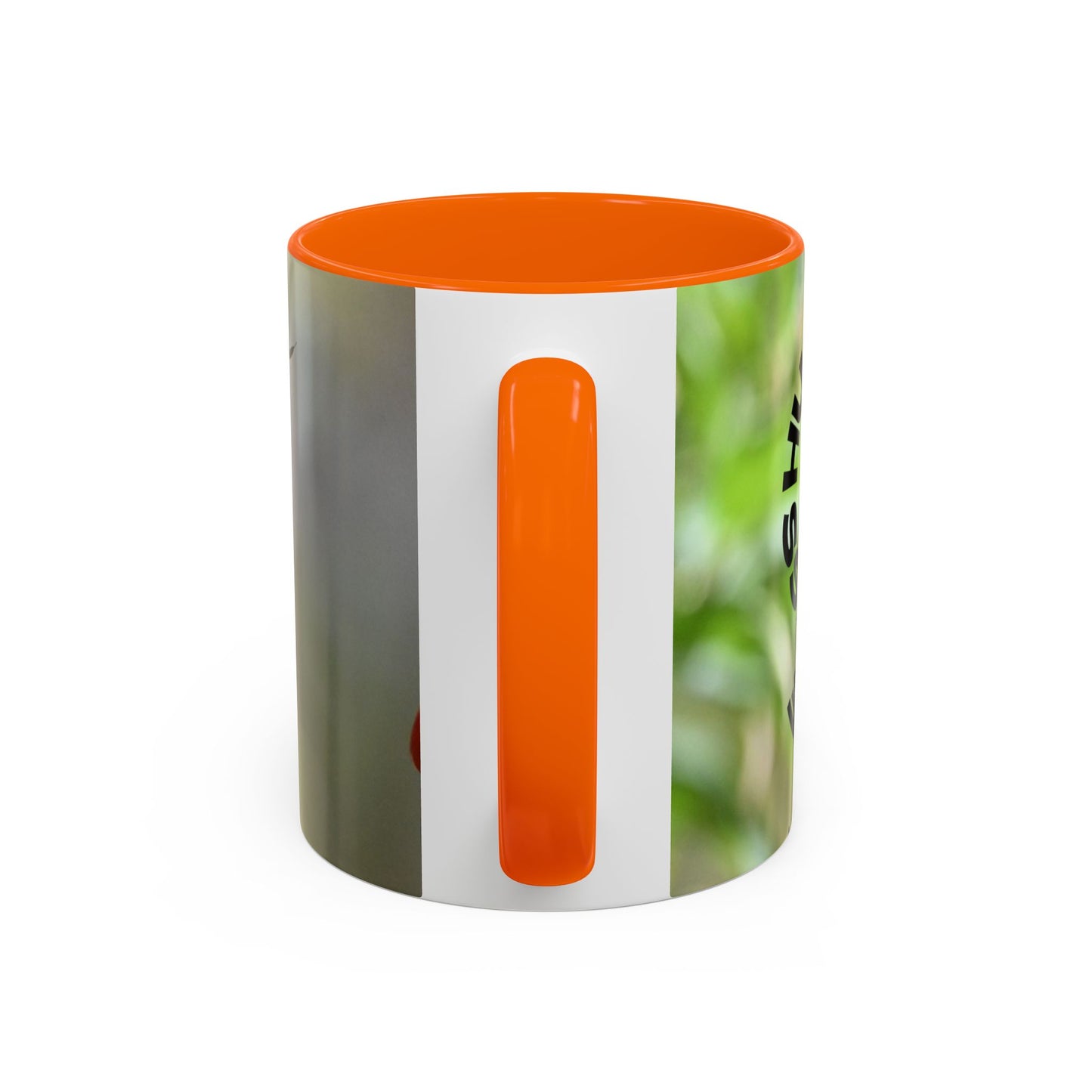 Hummingbird Accent Coffee Mug – 11/15oz Ceramic Mug with Black Interior & Handle
