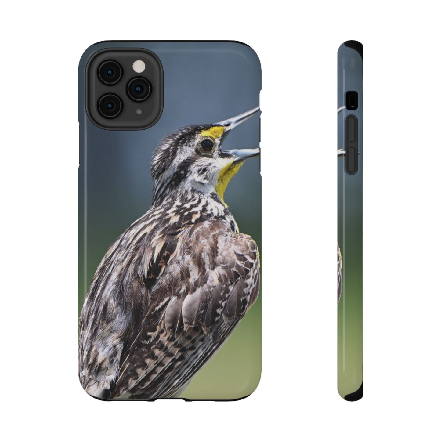 Western Meadowlark Photo Phone Case — Impact-Resistant Protective Cover