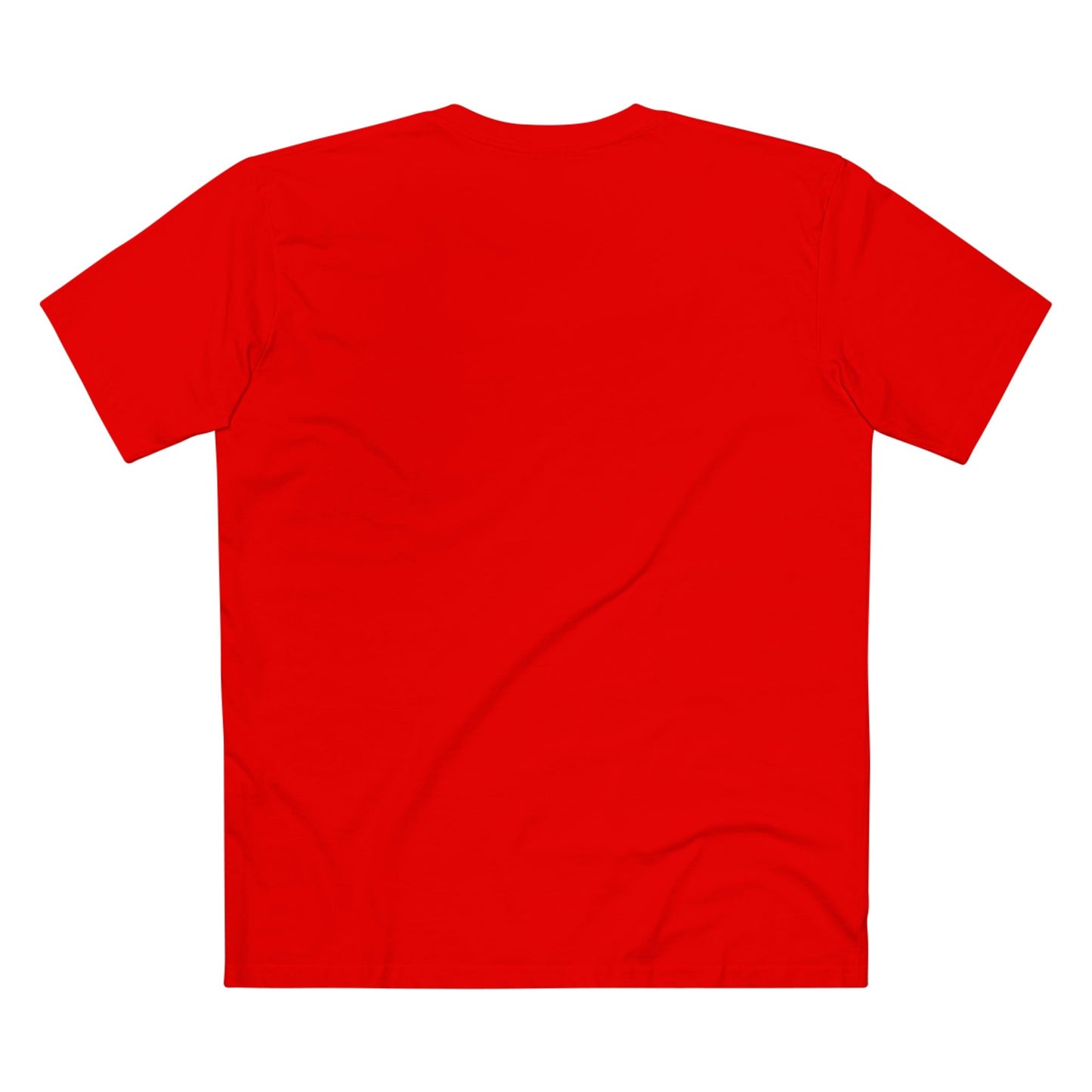 Turtle Photo Tee — 'Hold Your Head Up' Graphic Shirt