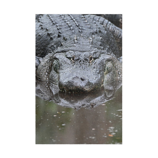 Alligator Puzzle - 110, 252, 520, 1014-Piece Jigsaw, Animal Lovers Gift, Family Game Night, Nature Decor, Unique Home Activity