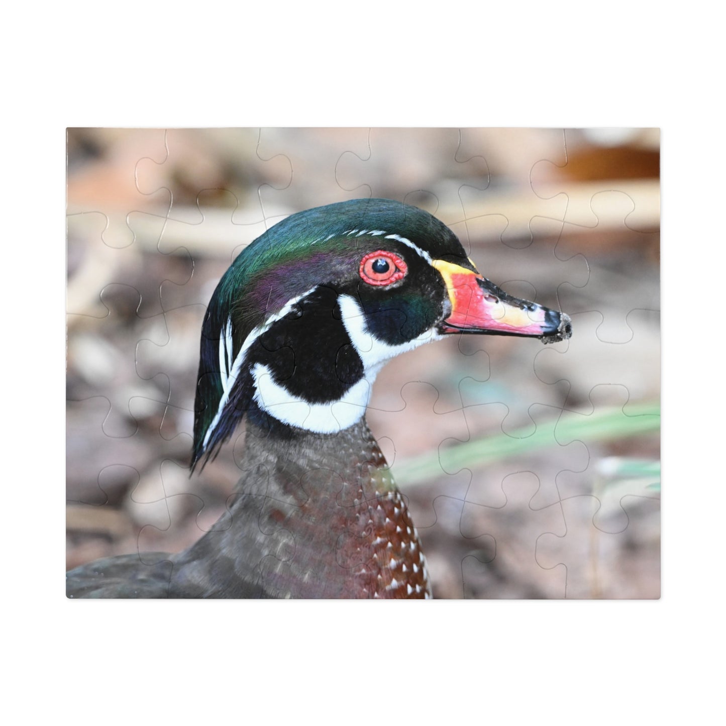Wood Duck Puzzle, Relaxing Jigsaw Game, Unique Gift for Nature Lovers, Fun Family Activity, Bird Enthusiast Puzzle
