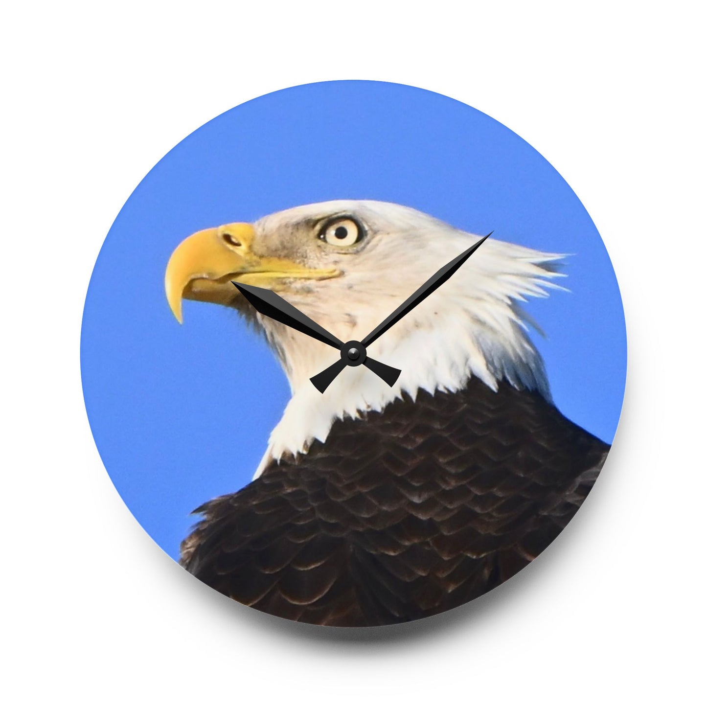 Bald Eagle Acrylic Wall Clock — Patriotic Wildlife Home Decor